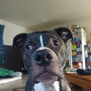 Meet your Posher, Nathan